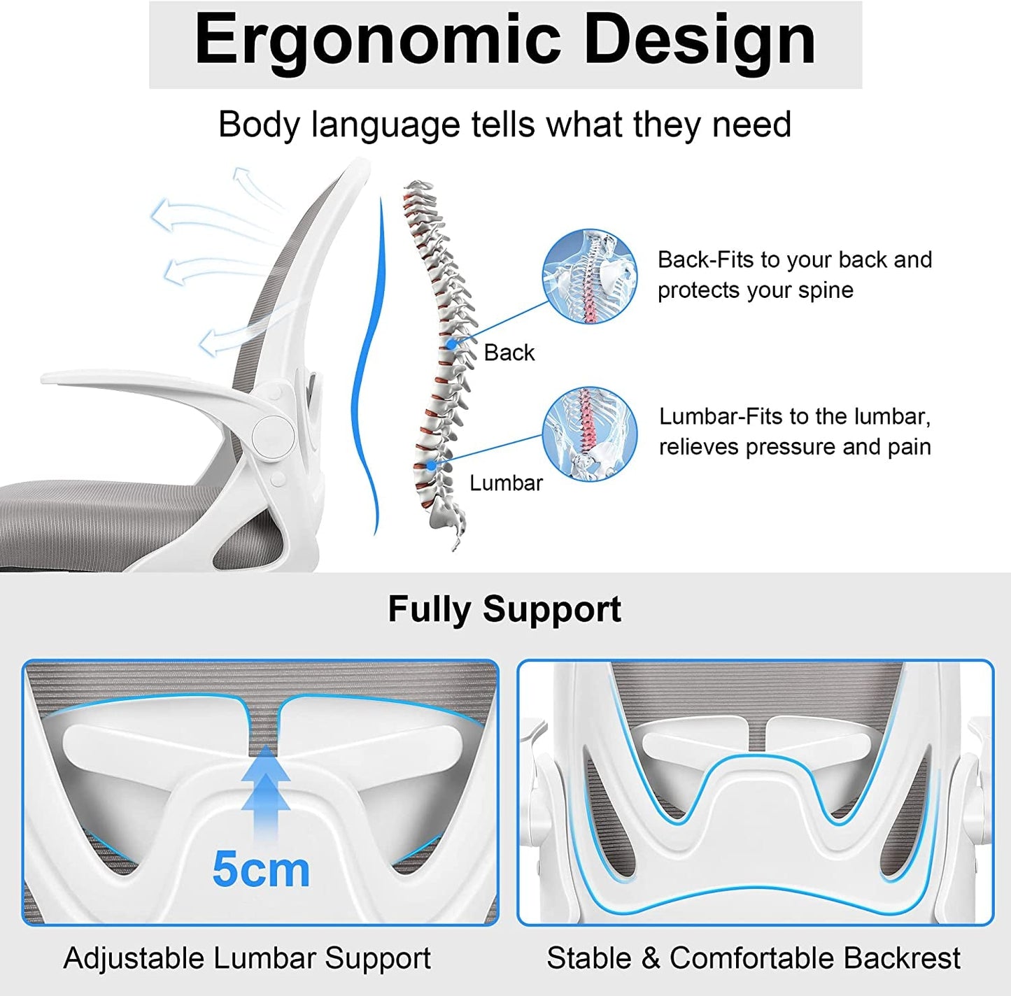 Adjustable Ergonomic Office Chair with Lumbar Support